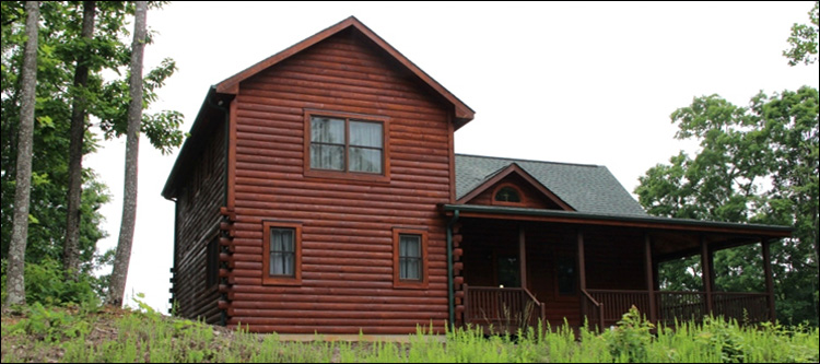 Professional Log Home Borate Application  Louisa County, Virginia